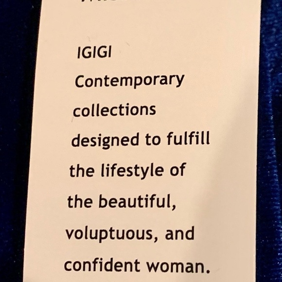 IGIGI Jeweled Velvet Party Dress Plus 22/24 Green Bra-Friendly, 3/4 Sleeves NWOT - Picture 10 of 11